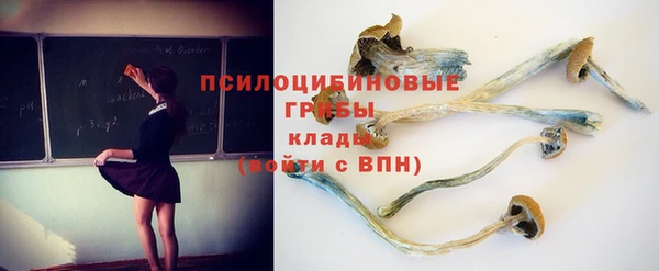 тгк Вязьма