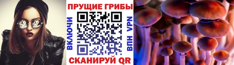 Галлюциногенные грибы мицелий Нерюнгри